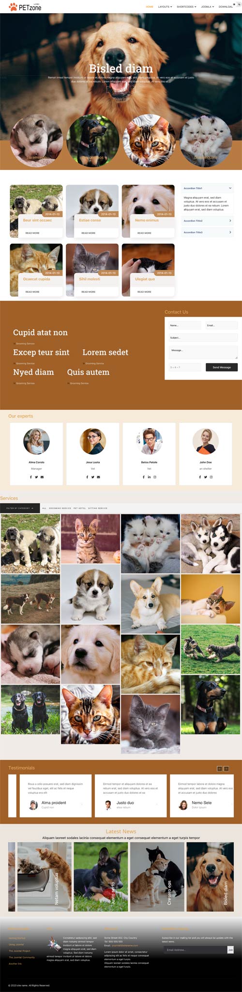 Pet Care joomla template